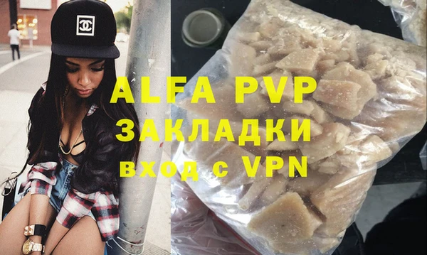 стаф Алексин