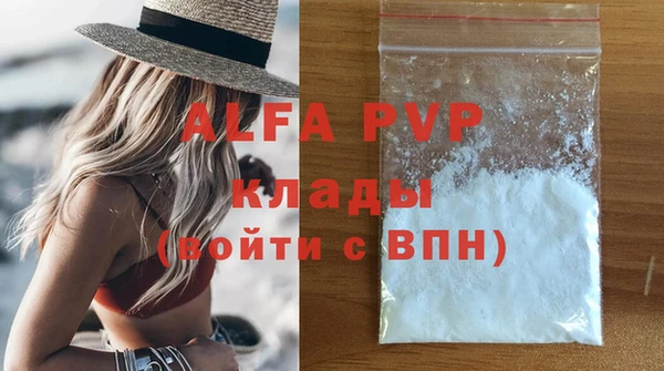 стаф Алексин