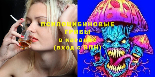 стаф Алексин