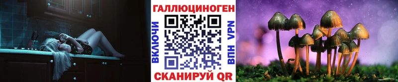 Галлюциногенные грибы Magic Shrooms  Купить где  Березники 